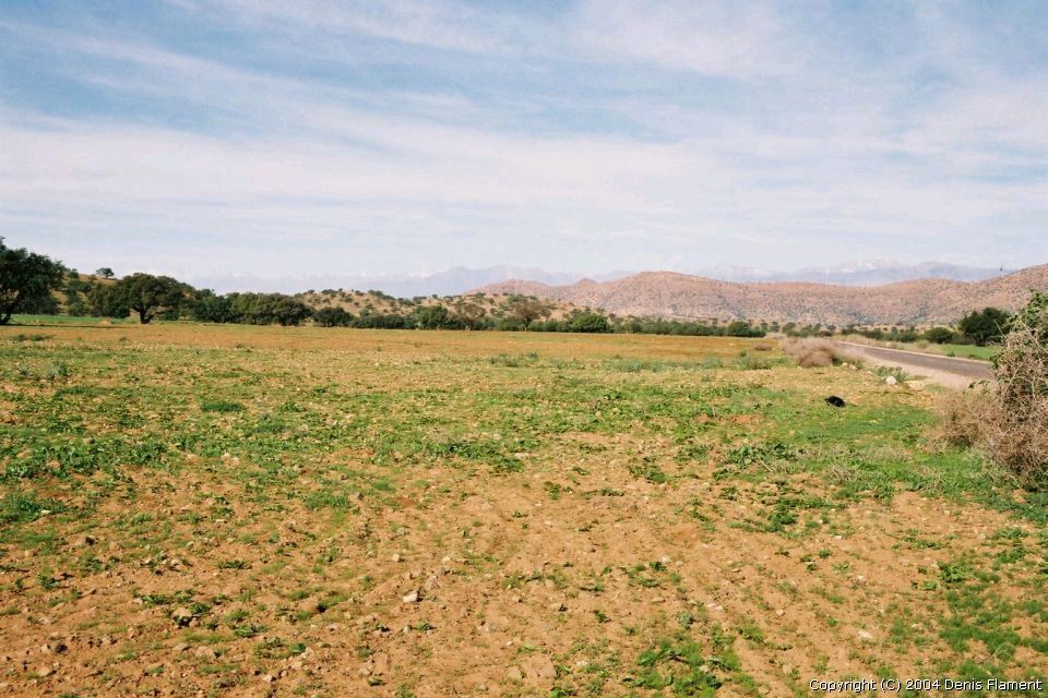 200301img017