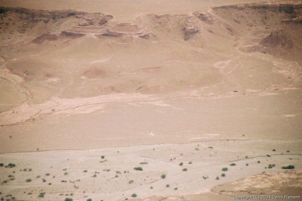 200204img004