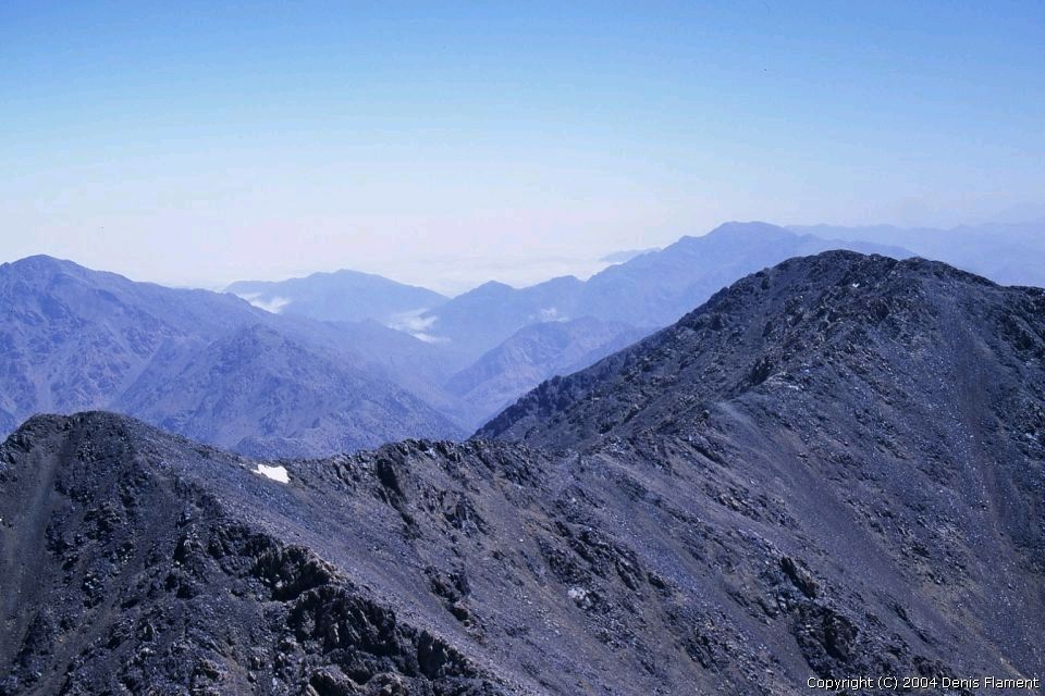 200205img002