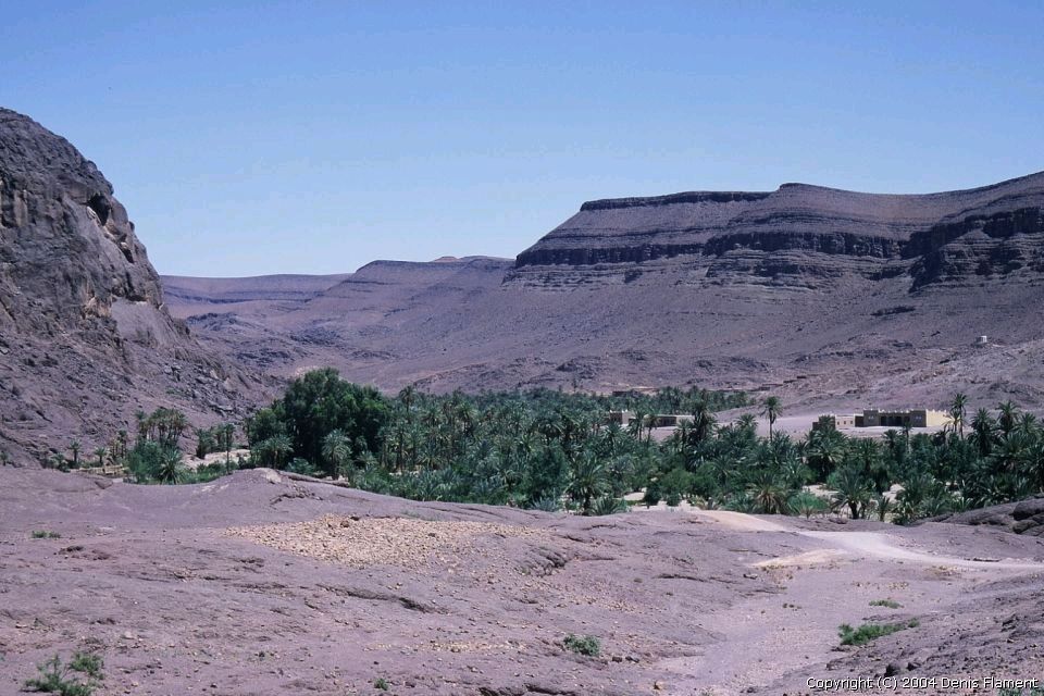200205img012