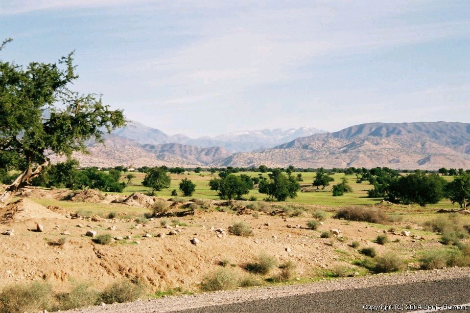 200301img013