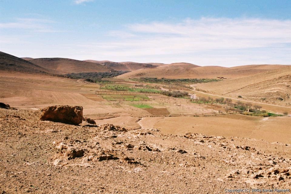 200301img025