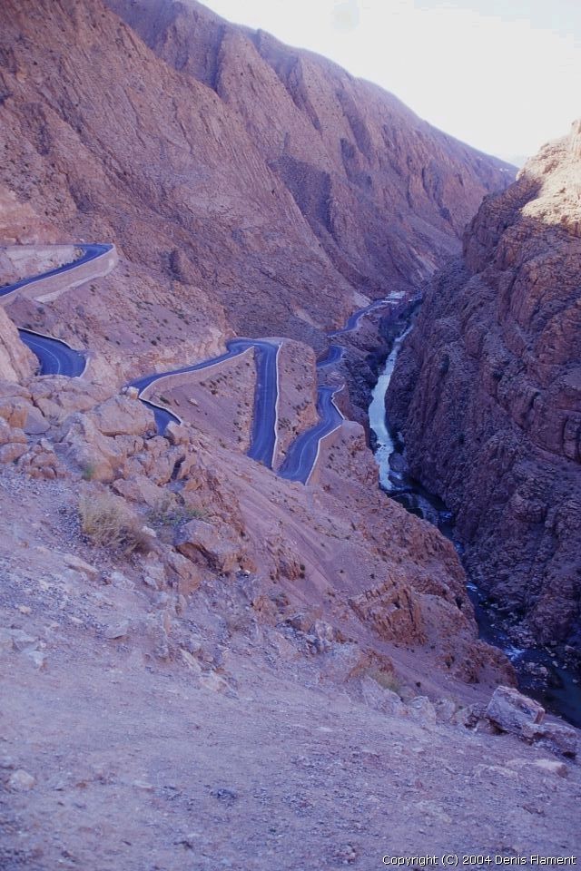 200302img022