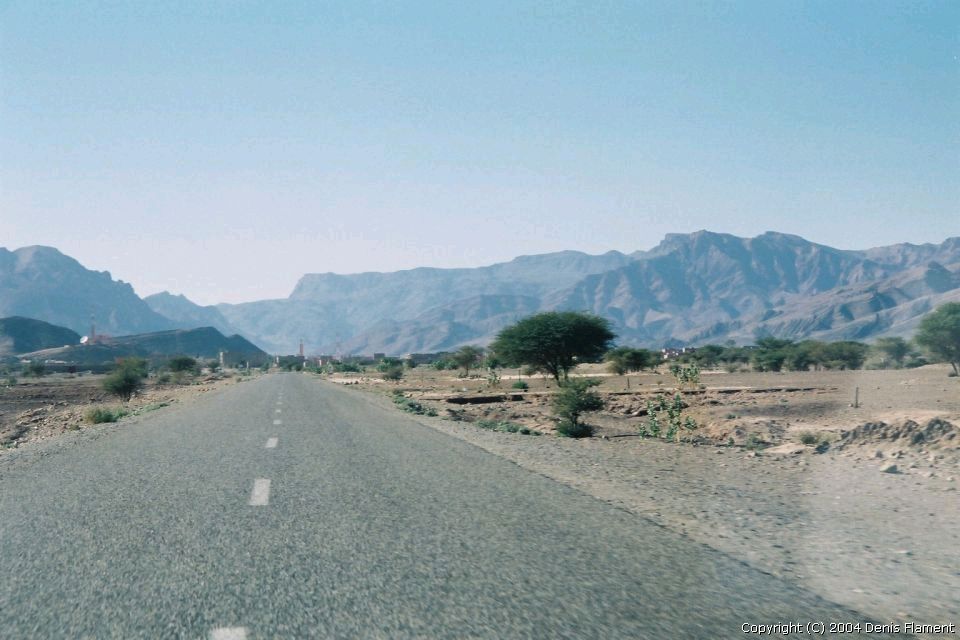 200304img006