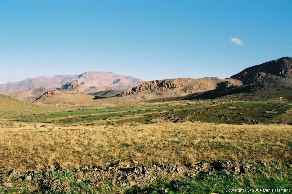 200304img016