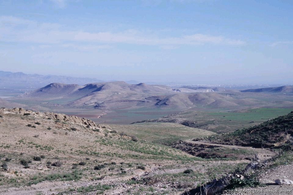 200401img001