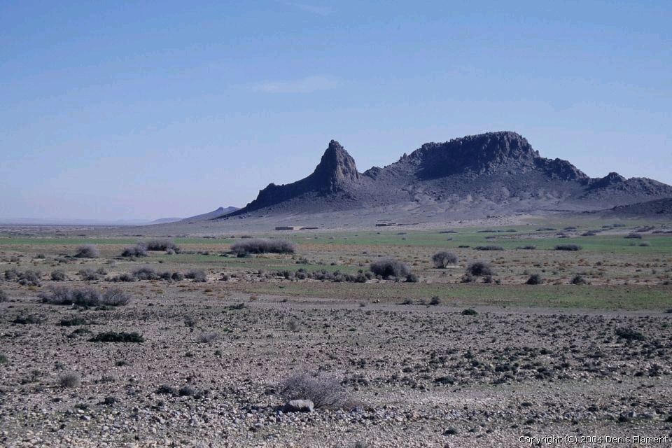 200401img002