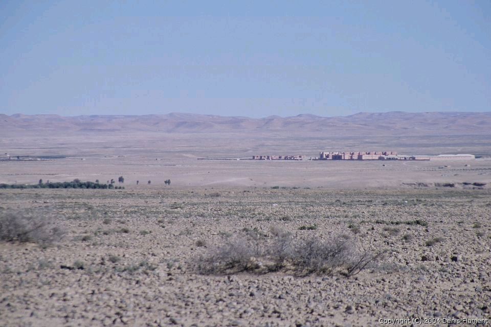 200401img021