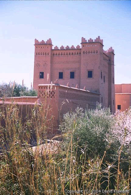 200406img009